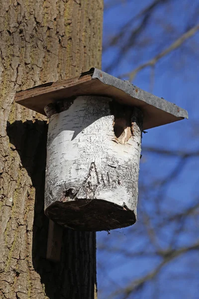 Ein Vogelfutterhäuschen Park — Stockfoto