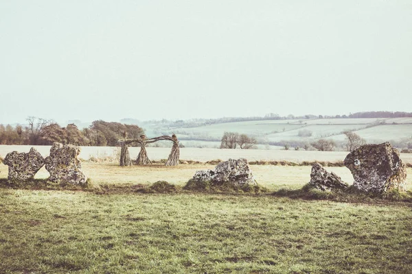 Green Meadow Countryside — Stock Photo, Image