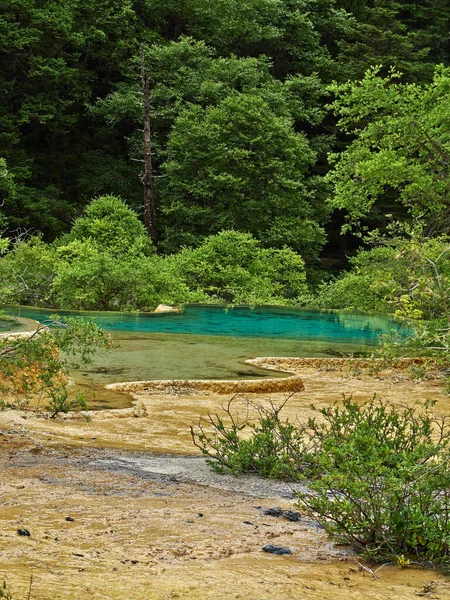 Красивий Краєвид Річкою Деревами — стокове фото