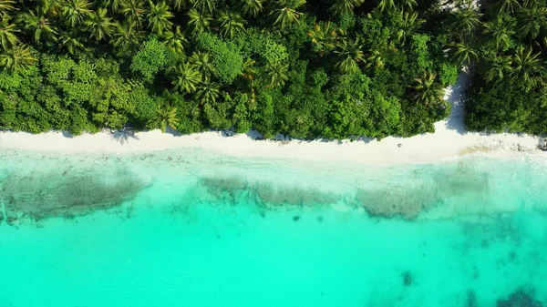 Mooi Tropisch Strand Met Palmbomen Turquoise Water — Stockfoto