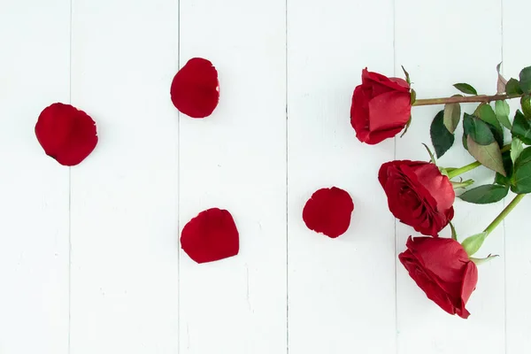Красные Розы Белом Фоне — стоковое фото