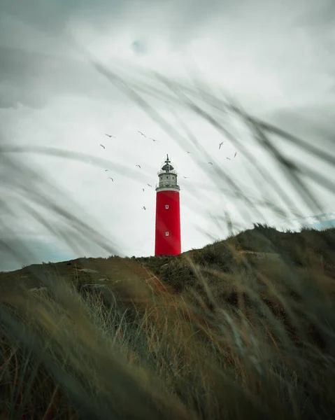 Leuchtturm Strand — Stockfoto