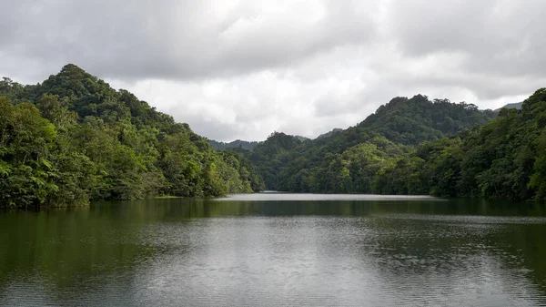 Bela Paisagem Com Rio Floresta — Fotografia de Stock