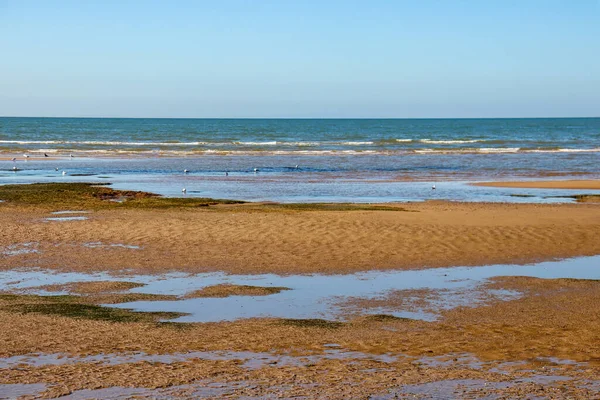 Belle Vue Sur Côte Mer — Photo