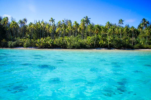 热带海滩 有棕榈树和蓝天 — 图库照片