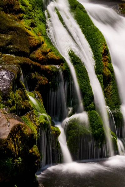 Cascata Nella Foresta — Foto Stock