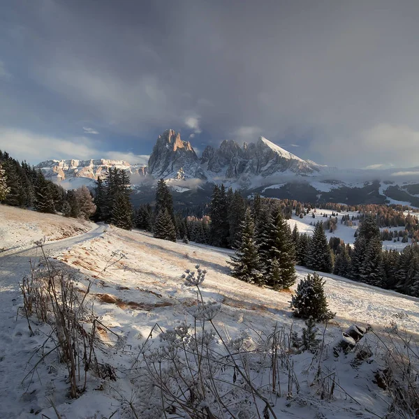 Hermoso Paisaje Con Árboles Cubiertos Nieve Las Montañas —  Fotos de Stock
