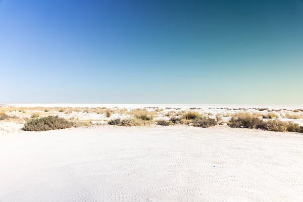 Paysage Désertique Avec Dunes Sable Ciel Bleu — Photo