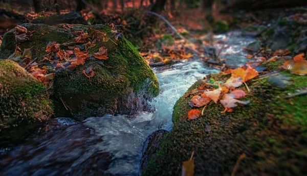 Hermosa Cascada Bosque — Foto de Stock