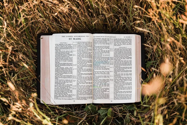 Reading Book Grass — Stock Photo, Image