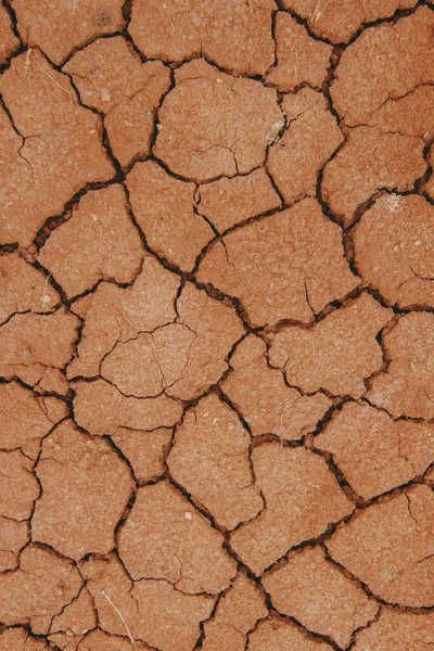 Cracked Earth Desert — Stock Photo, Image