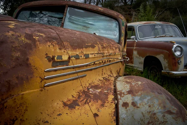 Vieille Voiture Rouillée Dans Forêt — Photo