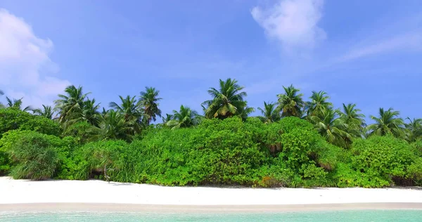 海岛上的热带海滩 有椰子树 — 图库照片