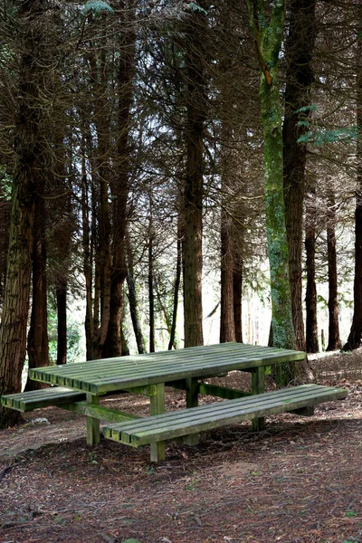 Piękny Widok Drewnianą Ławkę Parku — Zdjęcie stockowe