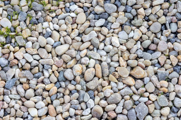 Achtergrond Van Kiezels Stenen Textuur Close — Stockfoto
