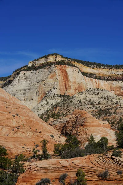 Bryce Canyon National Park Utah Usa — Stock Photo, Image