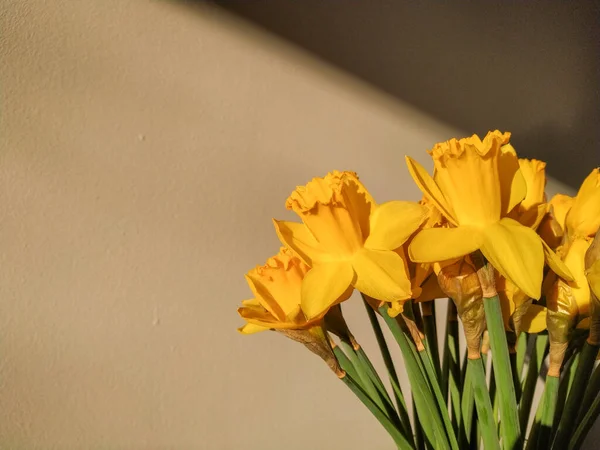 Narcisos Amarillos Jarrón Sobre Fondo Madera — Foto de Stock