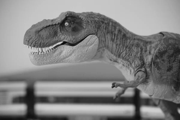 Bulanık Bir Geçmişi Olan Bir Dinozorun Yakın Plan Fotoğrafı — Stok fotoğraf