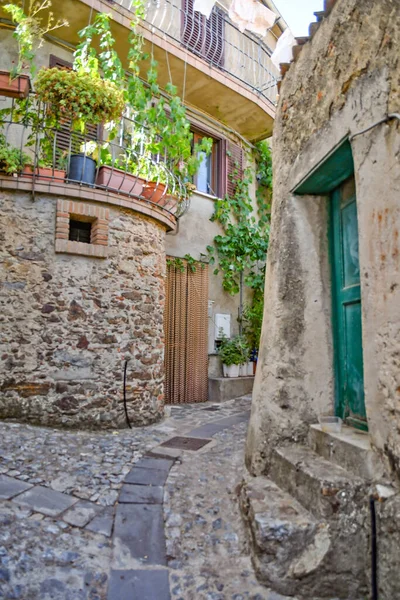 Старая Улица Городе Дубровник Хорватия — стоковое фото
