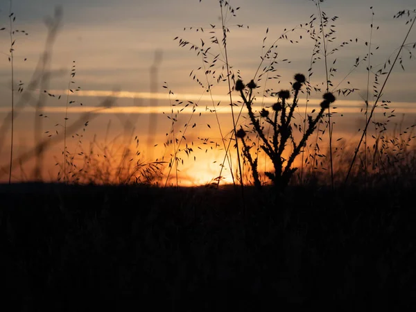 Krásný Západ Slunce Jezeře — Stock fotografie