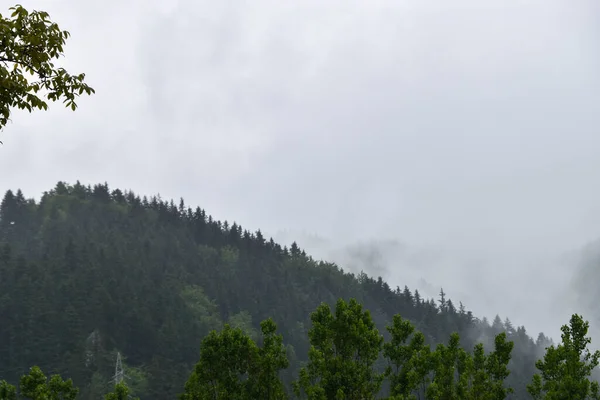 Bela Paisagem Com Árvores Nuvens — Fotografia de Stock