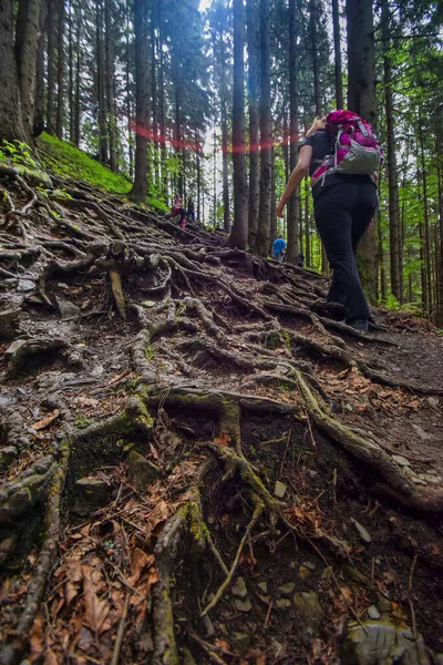 Молодая Женщина Прогуливающаяся Лесу — стоковое фото
