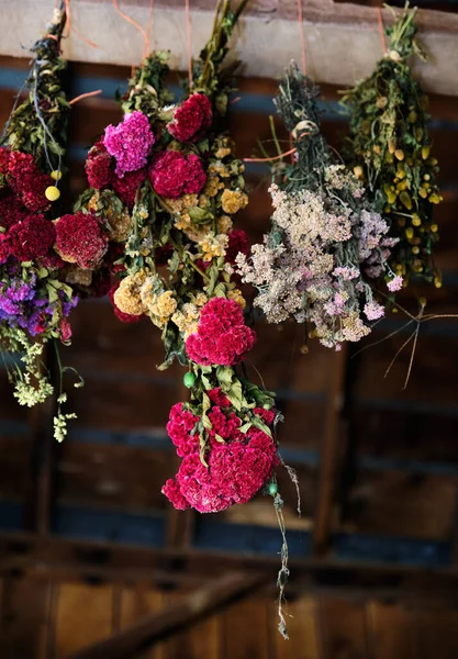 Beautiful Flowers Garden — Stock Photo, Image