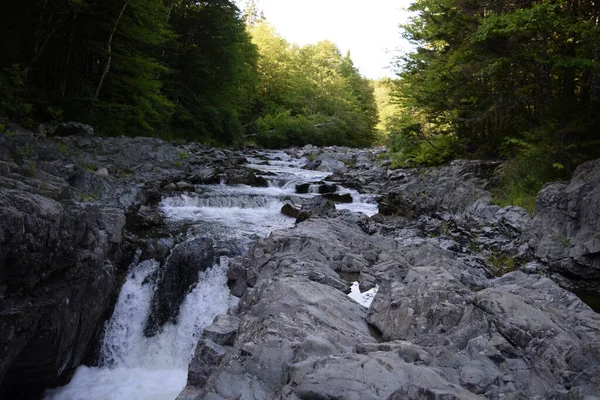 Schöner Wasserfall Wald — Stockfoto