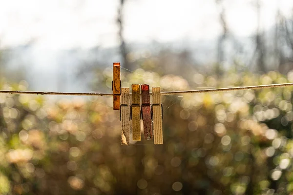 철조망 밧줄에 매달린 — 스톡 사진
