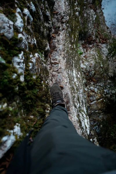 Wanderweg Wald — Stockfoto