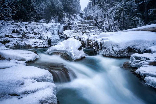 Belle Cascade Dans Forêt — Photo