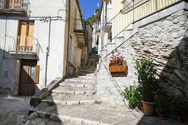 Gamla Stan Staden Kotor Montenegro — Stockfoto