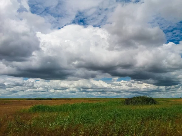 Piękny Krajobraz Polem Zielonej Trawy Błękitnego Nieba — Zdjęcie stockowe