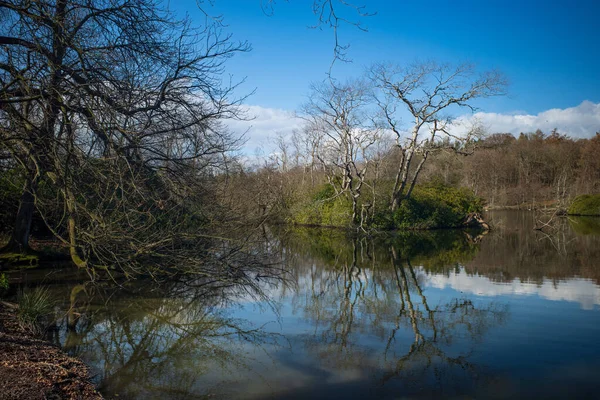 Hermosa Vista Del Río Bosque —  Fotos de Stock