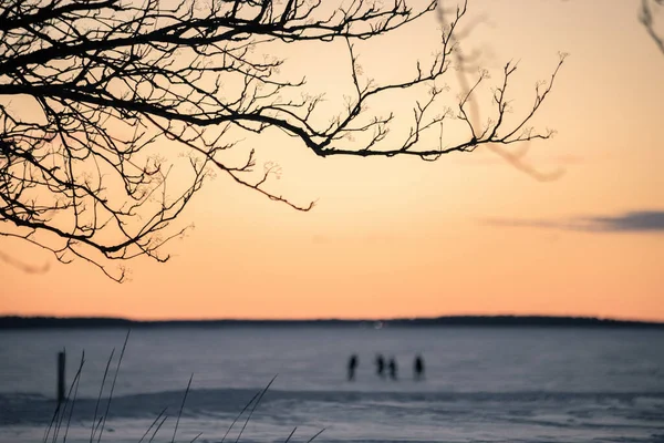 湖の美しい夕日 — ストック写真