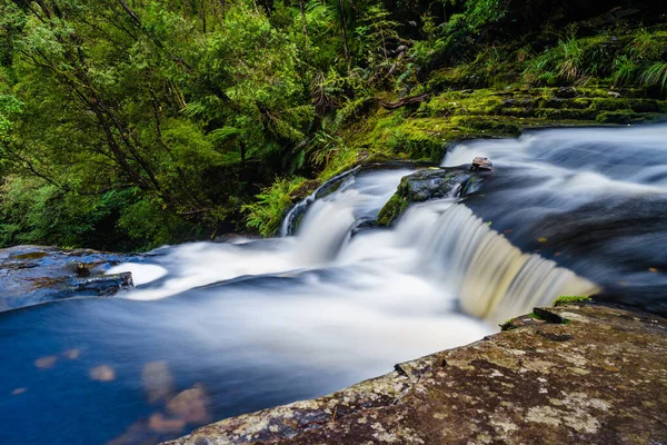 Cascada Bosque — Foto de Stock