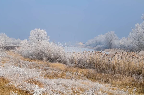 Winterlandschaft Mit Schneebedeckten Bäumen — Stockfoto