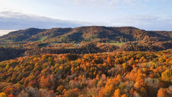 Podzimní Krajina Barevnými Stromy Lesem — Stock fotografie
