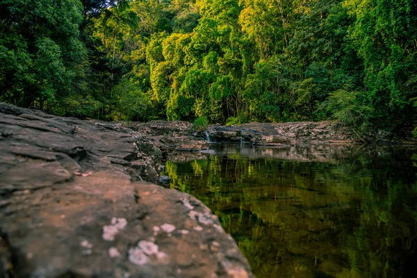 Schöne Aussicht Auf Den Fluss Wald — Stockfoto