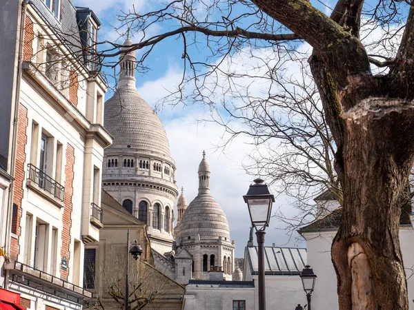 Paris França Marcha 2015 Vista Catedral Notre Dame Triomphe — Fotografia de Stock