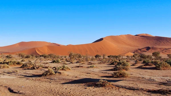 Beau Paysage Désert Néguev Dans Vallée Namib Namibie Afrique — Photo