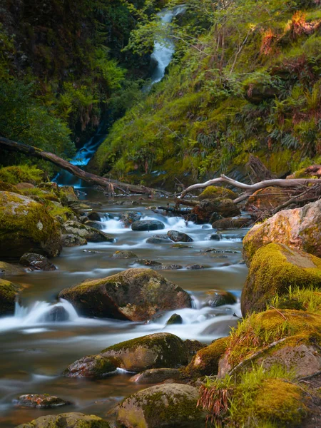 Όμορφο Βουνό Ποτάμι Στο Δάσος — Φωτογραφία Αρχείου