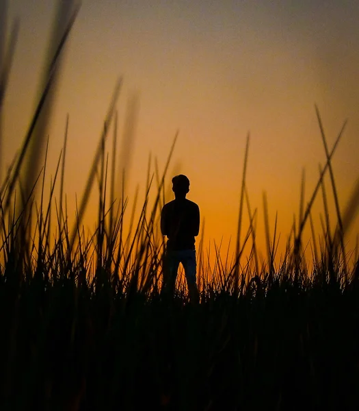 Silhouette Man Field Nature Background — Stock Photo, Image