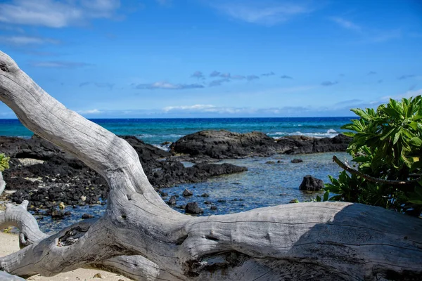 美丽的热带海滩 有棕榈树和蓝天 — 图库照片