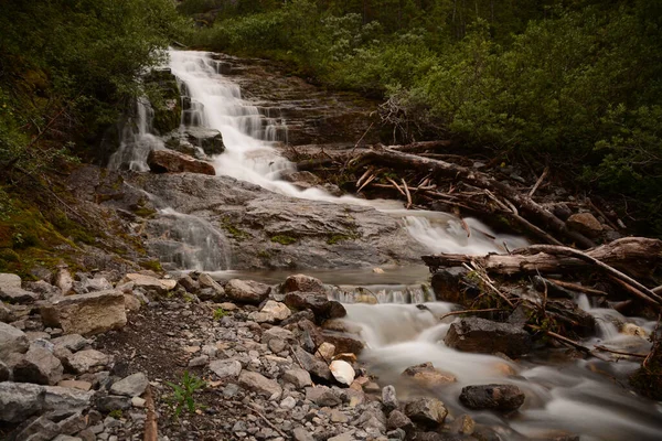 自然に囲まれた森の中の美しい滝 — ストック写真