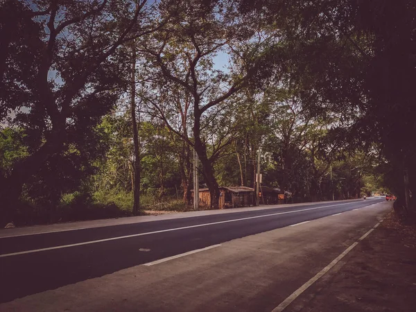 Road Forest Nature Background — Stock Photo, Image