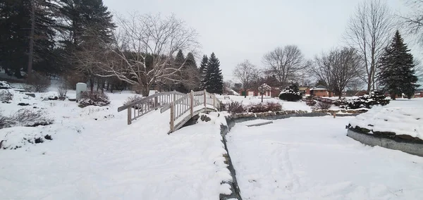 Winterlandschaft Mit Schneebedeckten Bäumen — Stockfoto