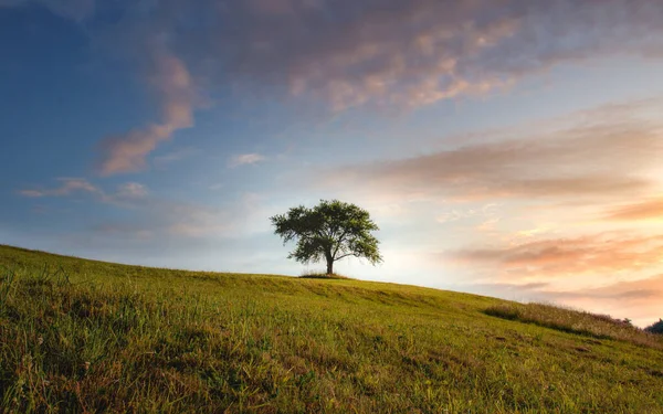 Beautiful Sunset Countryside Nature Background — Stock Photo, Image