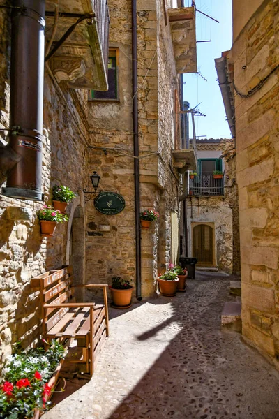 Gamla Gatan Staden Siena Italien — Stockfoto