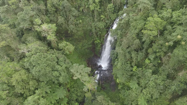 Prachtig Uitzicht Waterval Het Bos — Stockfoto
